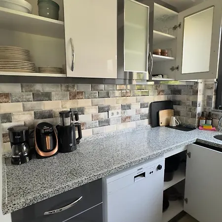 Villa Sarosun Incisi Eriklide Bahceli Muestakil Erikli (Edirne)