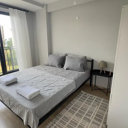 Villa Sarosun Incisi Eriklide Bahceli Muestakil Erikli (Edirne)