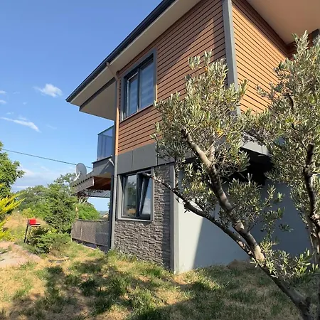 Villa Sarosun Incisi Eriklide Bahceli Muestakil *
