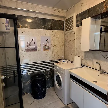 Villa Sarosun Incisi Eriklide Bahceli Muestakil Erikli (Edirne)